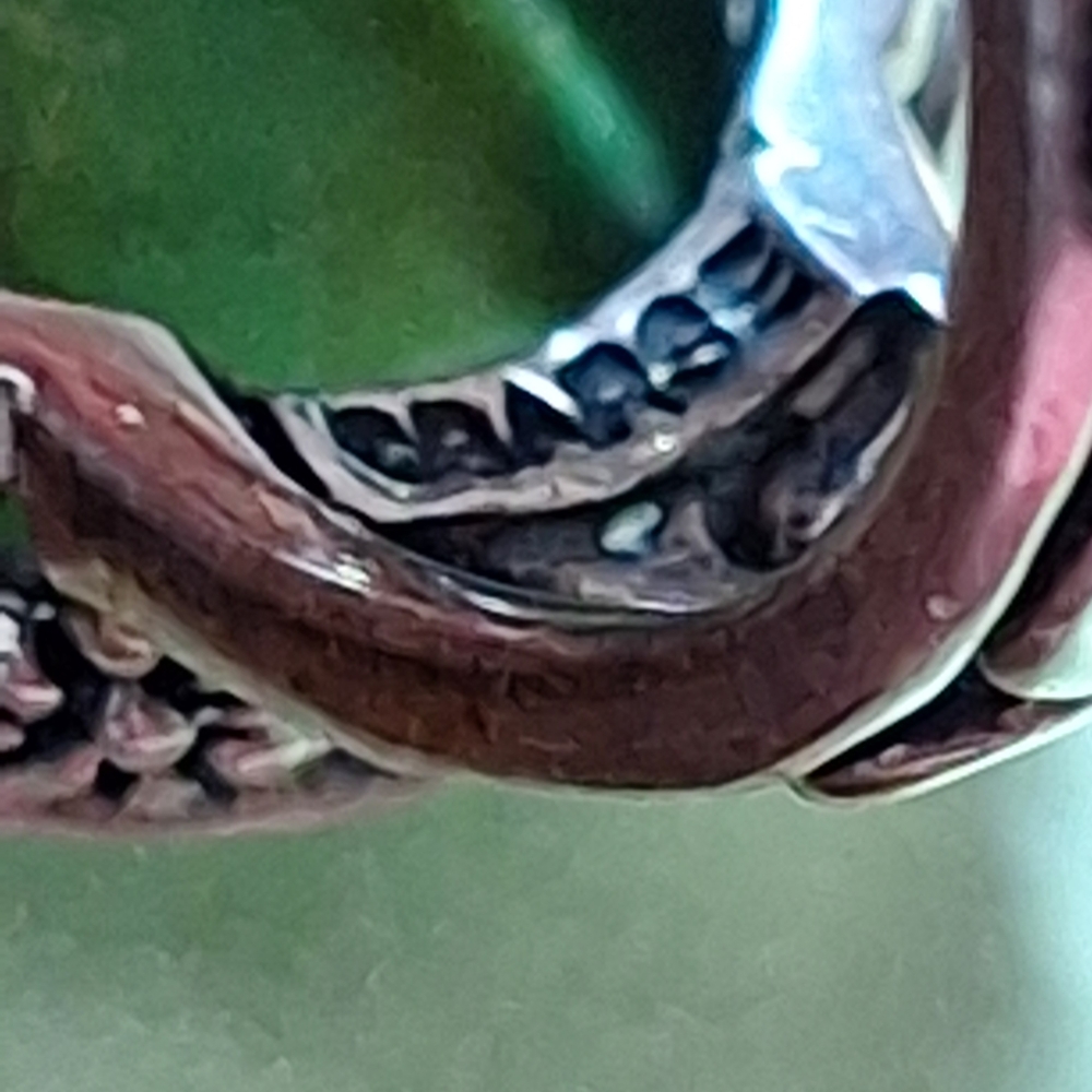 Barse Thai Green Turquoise & Silver Ring - Picture 9 of 11